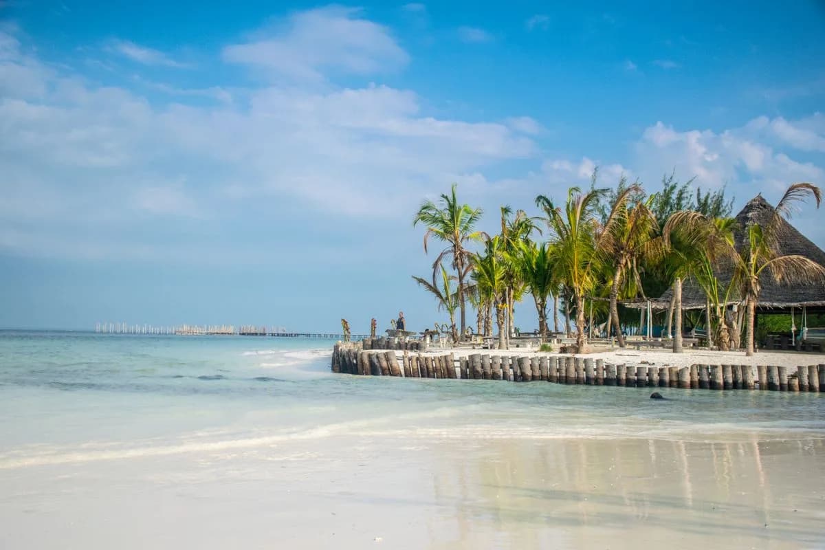 Palms and white sand at a Zanzibar beach resort